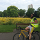 Image for article titled The complete guide to cycling to work